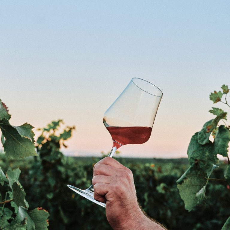 Weinglas mit Rotwein Weinglas in den Weinreben
